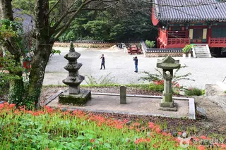 용천사(함평)