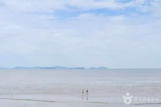 하나개해수욕장