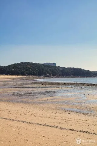 왕산해수욕장