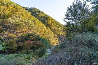 벌랏한지마을