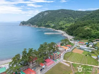 금오도