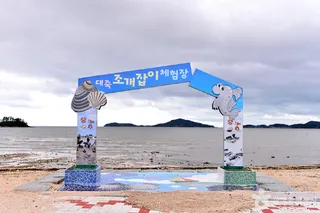 송지 대죽리 조개잡이 체험장