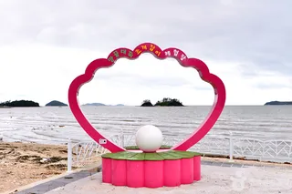 송지 대죽리 조개잡이 체험장