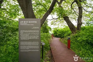 남해 물건리 방조어부림