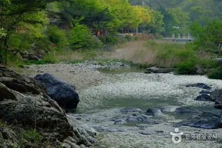 신흥계곡