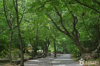 동학사계곡