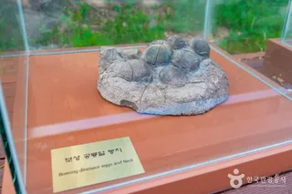 보성 비봉리 공룡알 화석산지