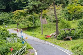국립오서산자연휴양림