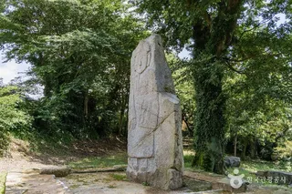영암 학계리석불입상