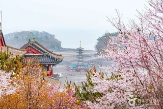 안면암(태안)
