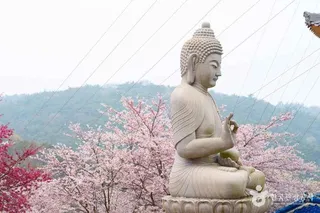 안면암(태안)