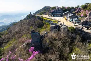 대견사
