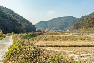봉하산촌생태마을