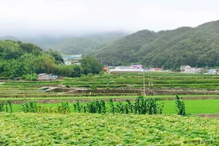 유포어촌체험마을