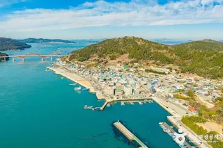 노화도