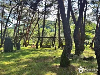 장풍숲