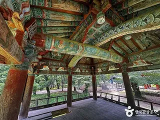 갈계숲