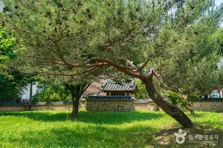 거창 창충사