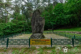 거창 농산리 석조여래입상