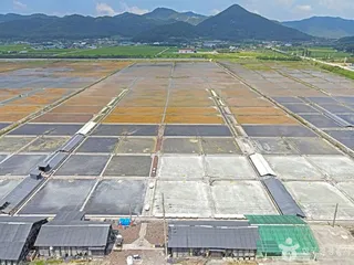 곰소염전