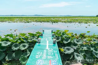 청호저수지