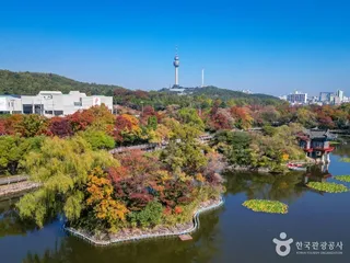 이월드 83타워