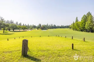 인천 경서동 녹청자 요지