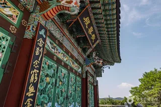 호불사