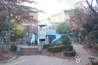 인천 신현동 회화나무