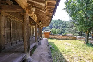 두남제