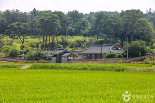 오남제