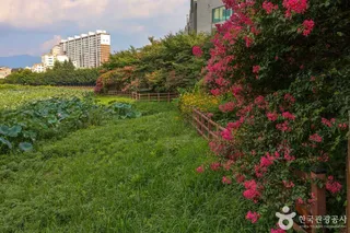 운천저수지