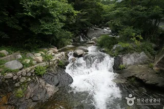 성흥사 계곡