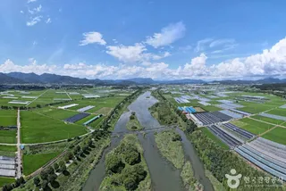 영산강