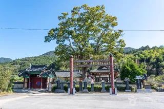 장성향교