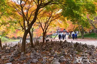 강천사계곡