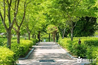 천동관광지