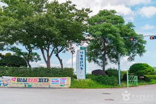 무안 하늘백련마을