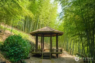 거제맹종죽테마공원