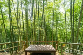 거제맹종죽테마공원