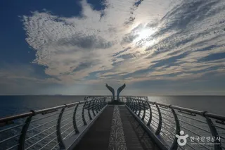 백수해안도로
