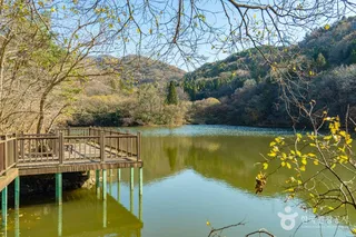 세량지