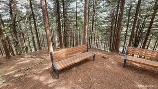 초롱이둥지마을