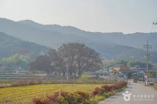 영광 용암마을