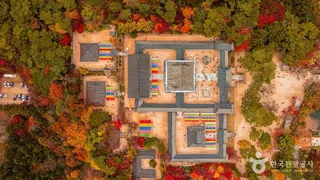 경주시 관광특구
