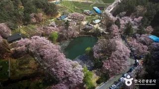 덕천서원(거창)