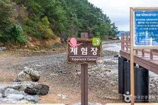중리어촌체험마을