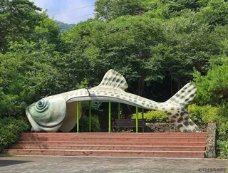 평창 어름치마을