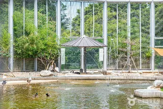 광주 우치공원 동물원