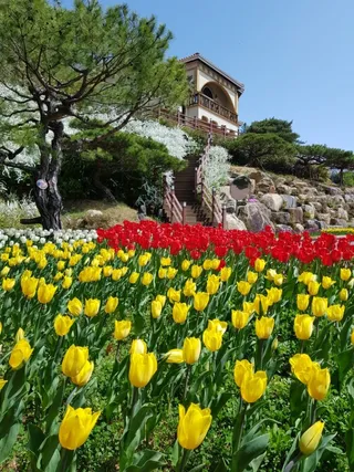 하늘빛수목원